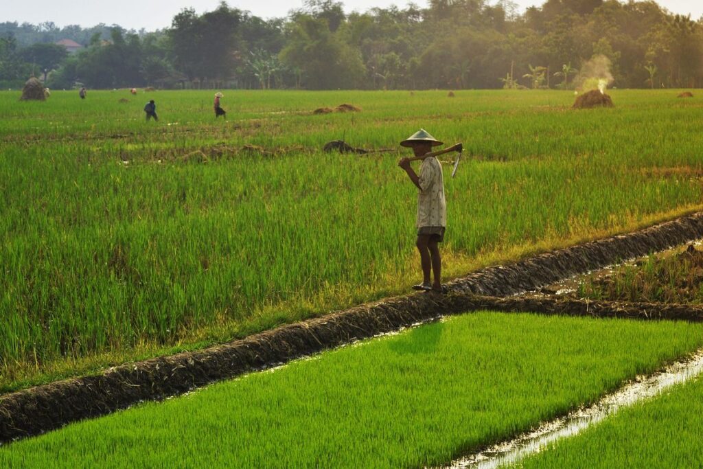 Wanam Jadi PSN Strategis Cetak Sawah 1 Juta Ha untuk Pangan hingga Energi